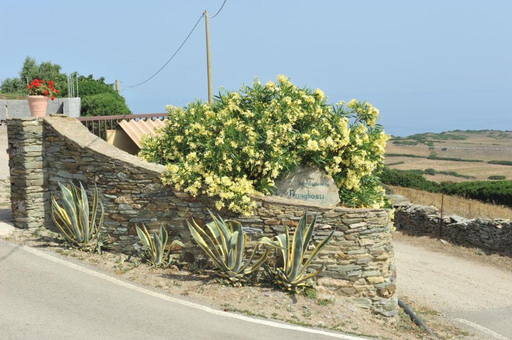 Agriturismo Finagliosu Palmadula Exterior photo